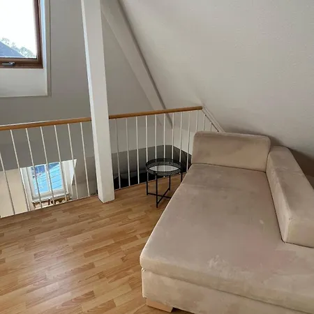 Im Welfenpalais * Weingarten (Wuerttemberg)