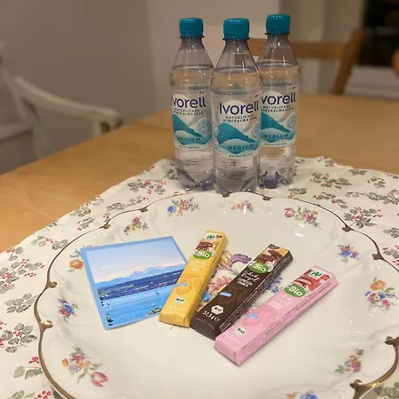 Im Welfenpalais Weingarten (Wuerttemberg)