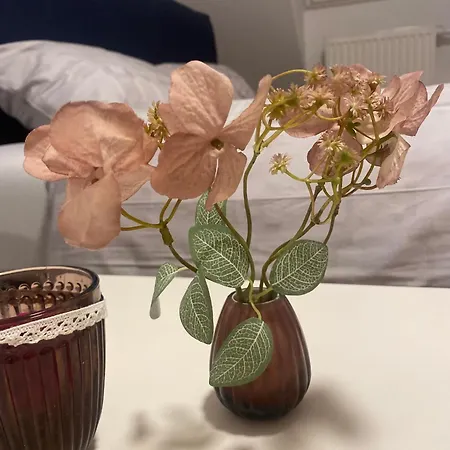 Im Welfenpalais * Weingarten (Wuerttemberg)